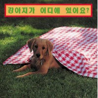 WHERE'S THE PUPPY? board book in Korean Only