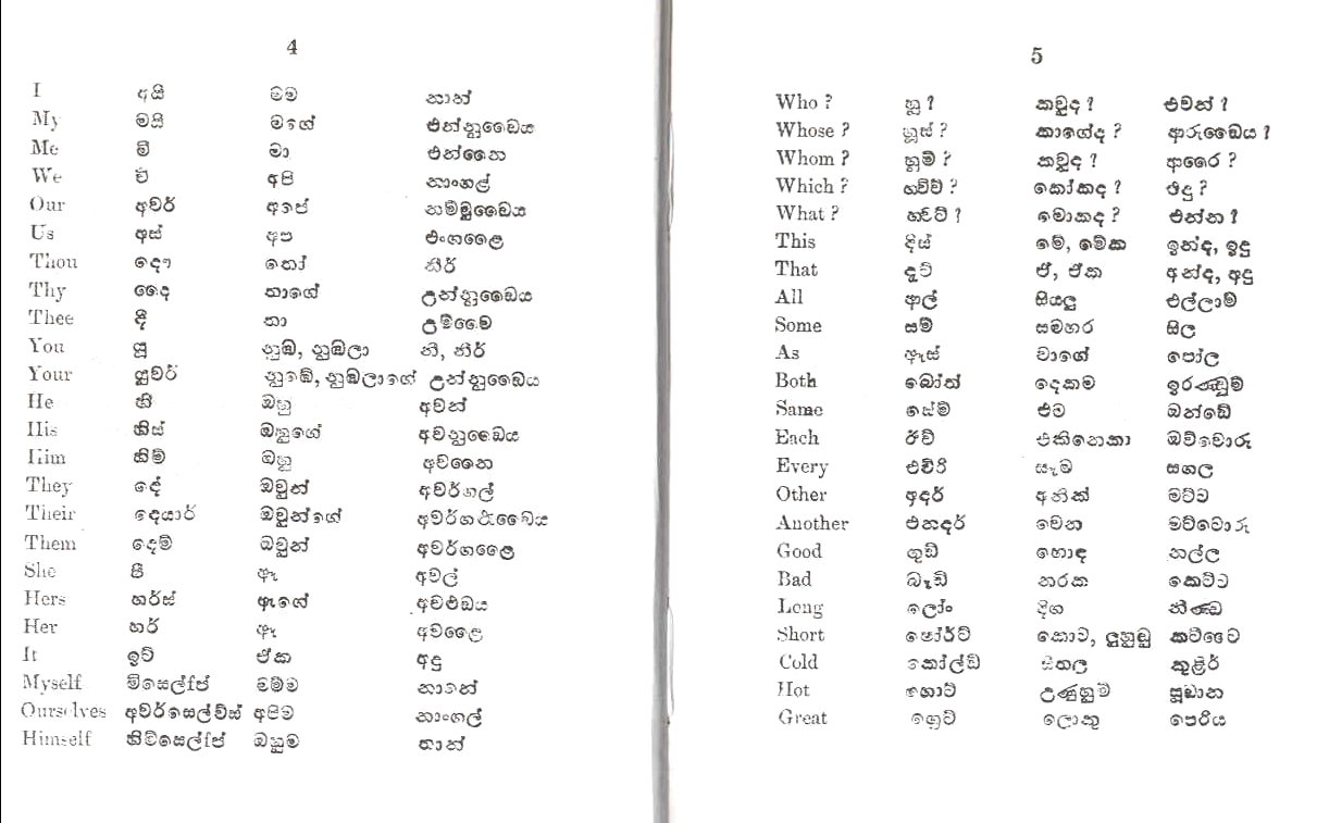 italy sinhala dictionary