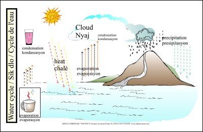 Water Cycle Chart