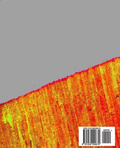 Modern Persian Poetry in Persian/Farsi by Nazanin Mirsadeghi (Author)