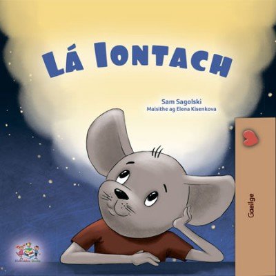 A wonderful Day - in Irish only (PB)