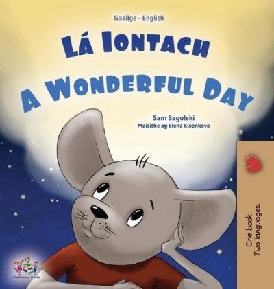 A wonderful Day - in Irish and English (HC)
