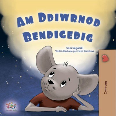 A wonderful Day - in Welsh only (HC)